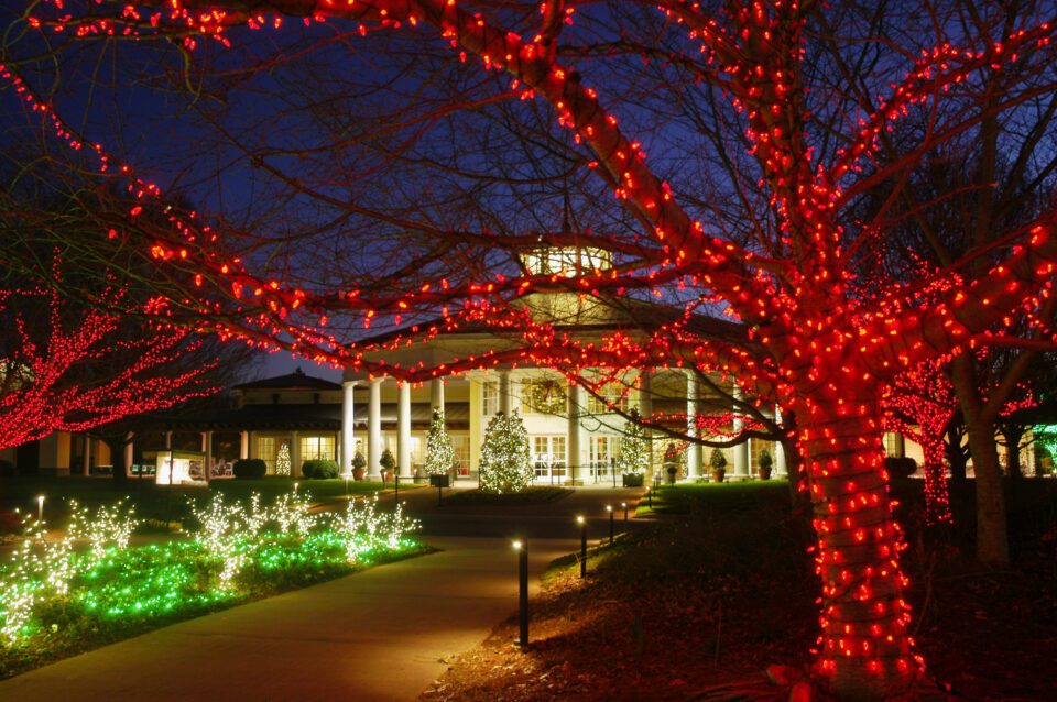 Grand building and trees adorned with vibrant red, green, and white Christmas lights, showcasing professional commercial holiday lighting installation